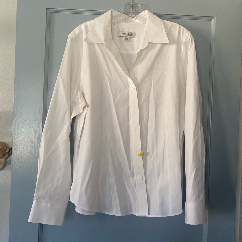 White Button Down Blouse, Collared